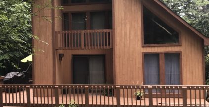 Cabin Exterior Painting