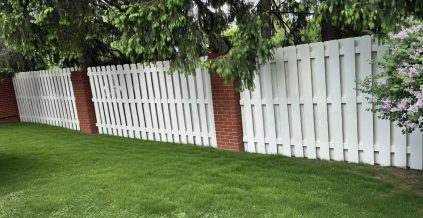 Fence Staining Project