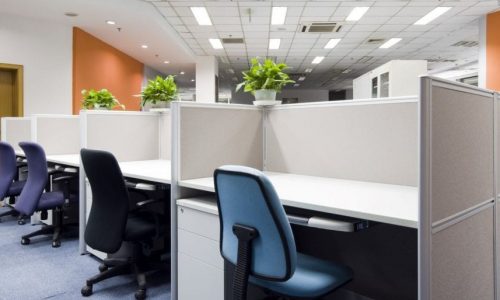 Office Interior Painting