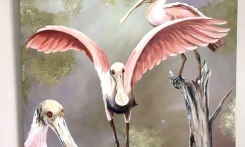 Spoonbills