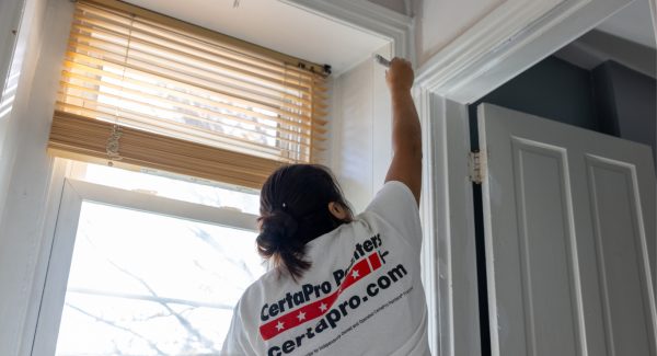 expert painting process