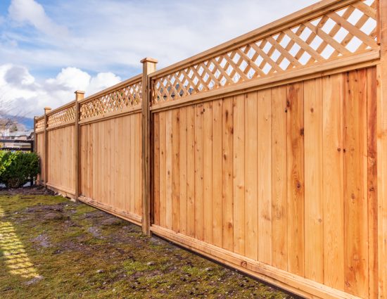 fence