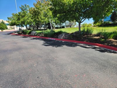painted fire lane curbs