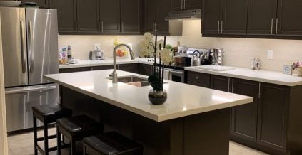 Kitchen Cabinet Repainting