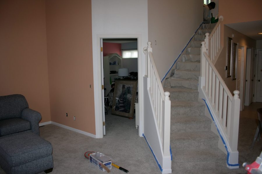 Duplex Painting Project Preview Image 4