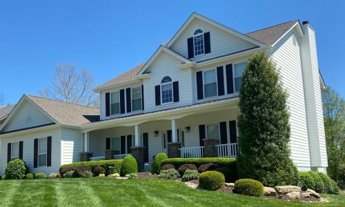 Vinyl House Painting