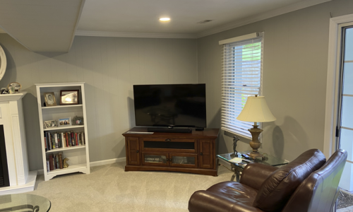 Basement Painting