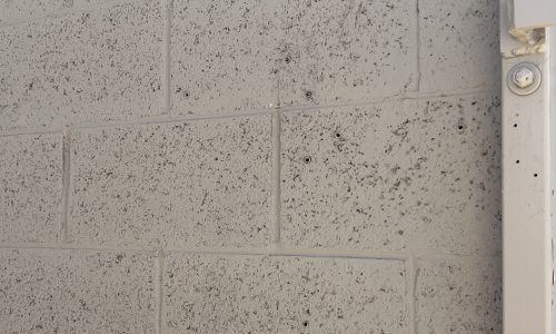Rugged Walls