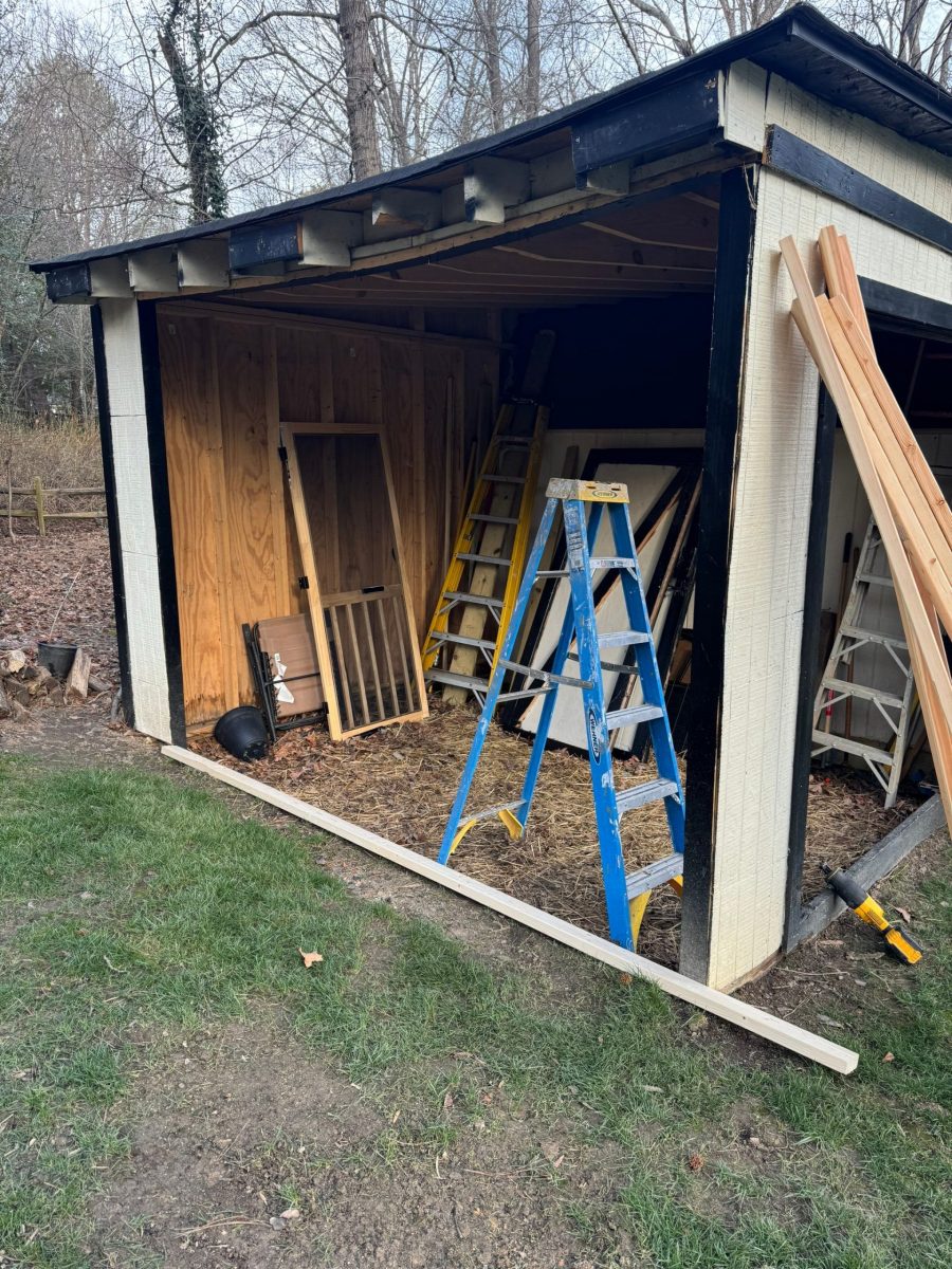 wooden shed during side wall installation Preview Image 3
