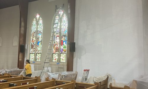 Interior Walls – In Progress