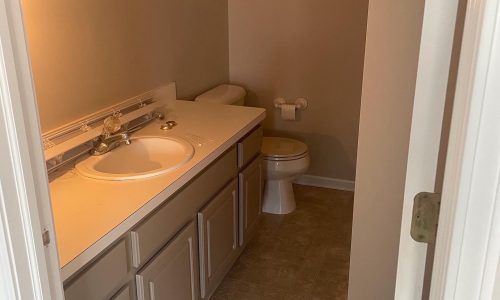 Bathroom Cabinets