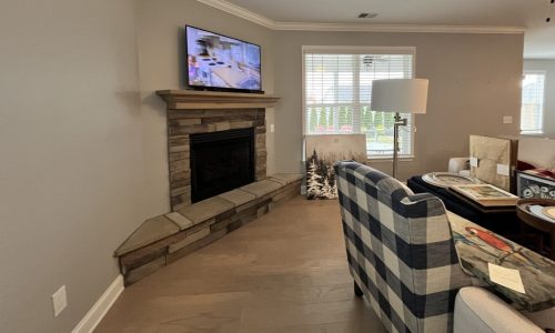 Living Room Painting
