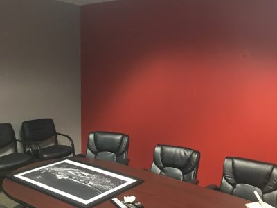 Commercial Accent Wall in Rancho Bernardo Rancho Bernardo