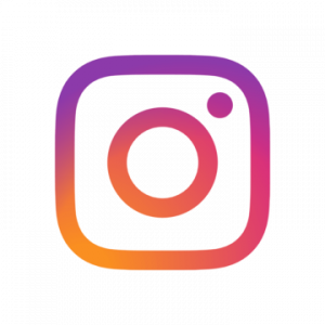 Insta Logo
