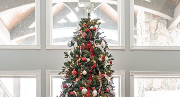 christmas tree