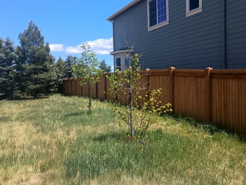 stained wooden fence surrounding yard of home Preview Image 1
