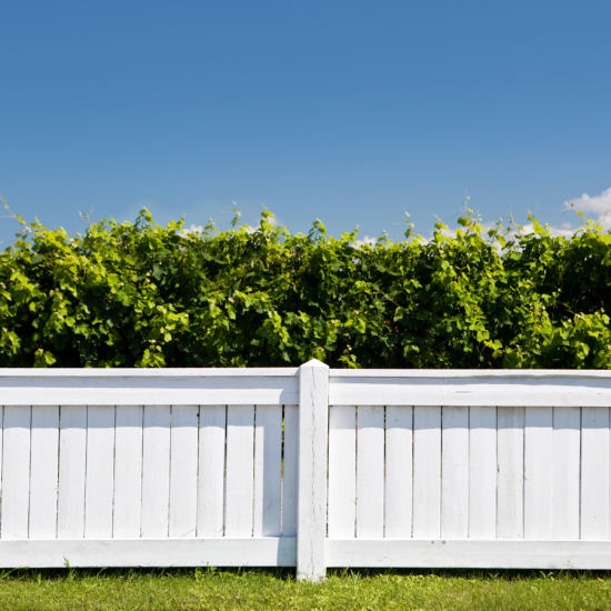 Fence Painting