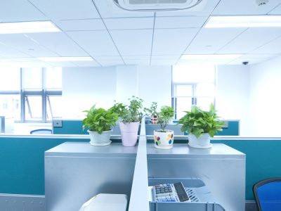 Blue office space