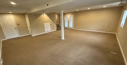Basement Painting