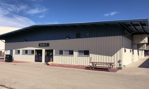 Fairgrounds After Results