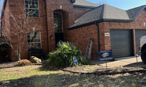 Exterior Painting
