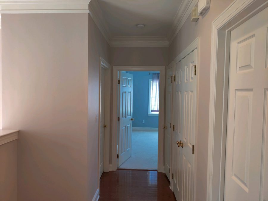  Preview Image 13
