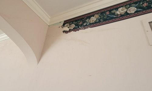 Wallpaper Removal Case Study During Photo