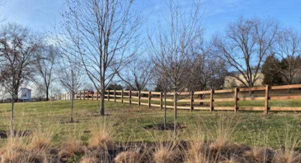 fence