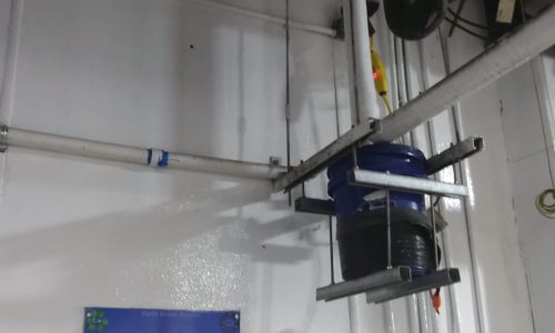 Durable Paint