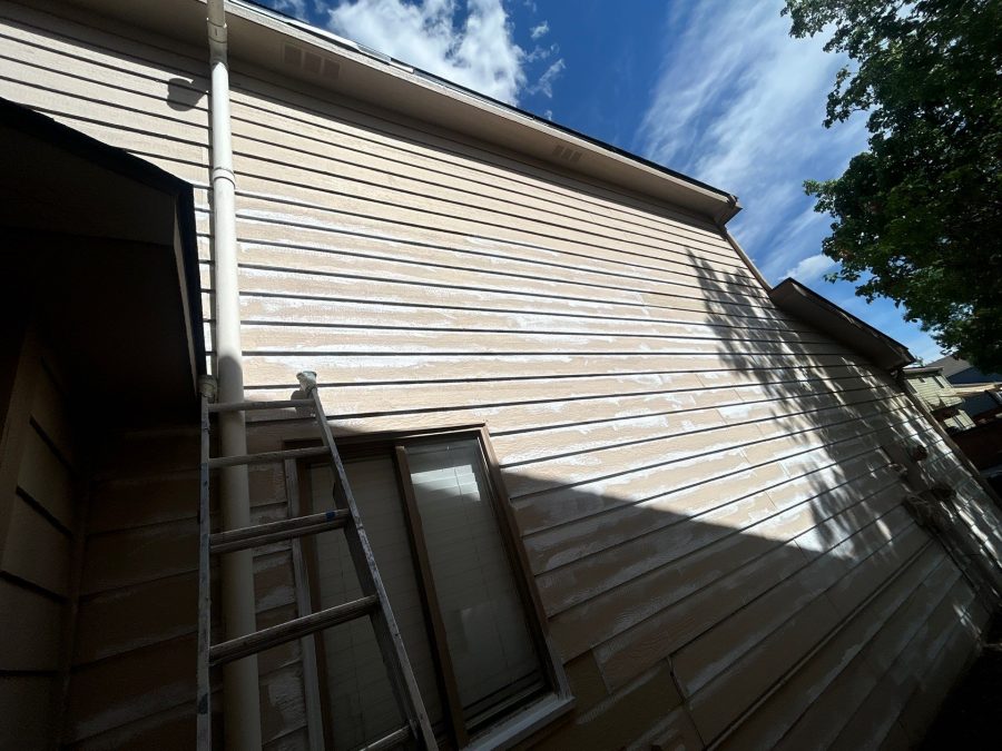 house siding during repaint Preview Image 8