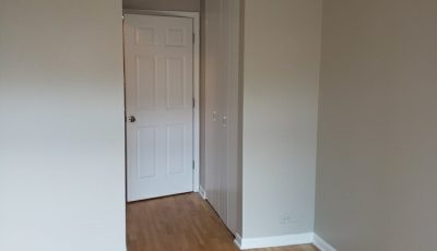 professional house painters oak park il