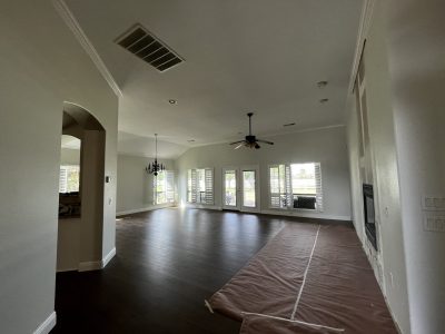 Living Room Painting