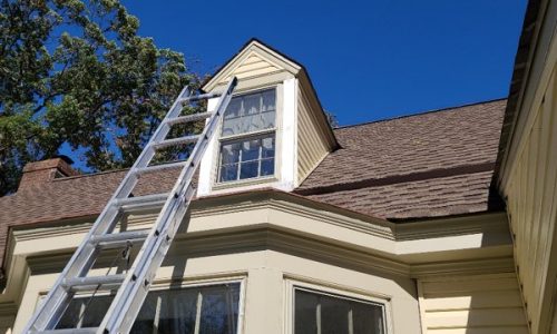 Siding & Exterior Window Frame