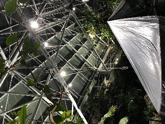 Tennessee Aquarium