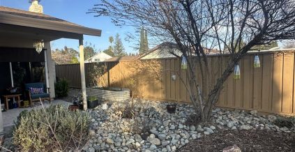Fence Painting in Sacramento