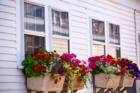 vinyl and aluminum siding painting cost