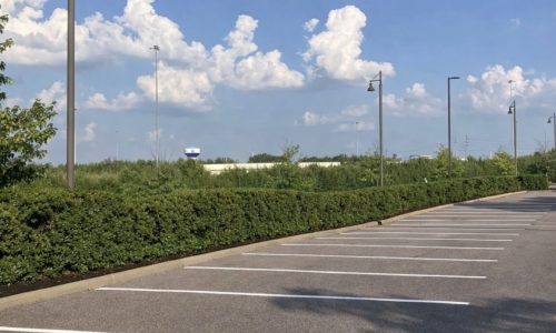 Mall Lot