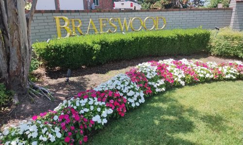Braeswood Neighborhood Project