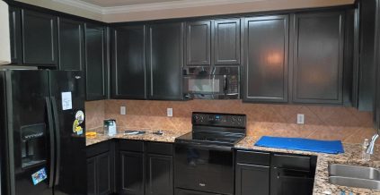 Kitchen Cabinet Project