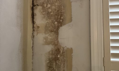 Exposed Mold