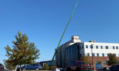 Crane in Action