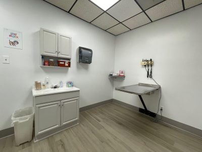 Interior painting for animal hospital room