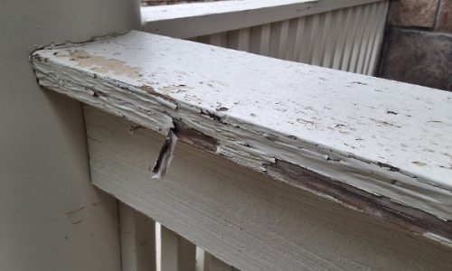 Hail Damage