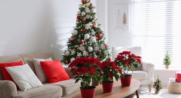 Refresh Your Home This Winter With Interior Painting