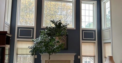 Blue Accent Wall