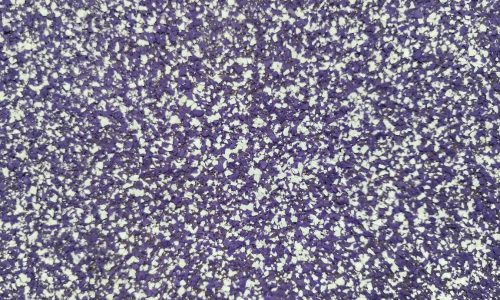 Purple Epoxy Coating With White Flecks