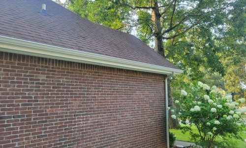 Fascia Side After