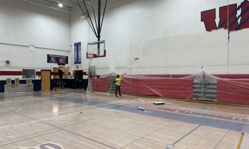 Paint Progress